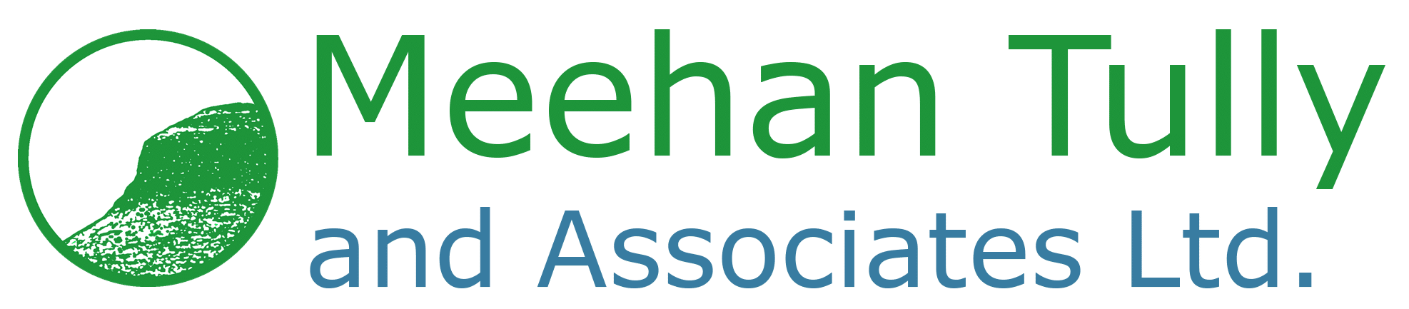Meehan Tully and Associates Ltd.